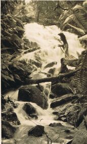 Photograph - BLACK AND WHITE PHOTOGRAPH OF CARA LYNN FALLS  MARYSVILLE