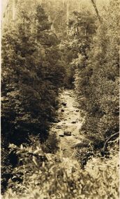 Photograph - BLACK AND WHITE PHOTOGRAPH OF MURRAY'S PASS  GULLY MARYSVILLE