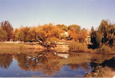 Photograph - COLOUR PHOTOGRAPH OF TREES AND LAKE