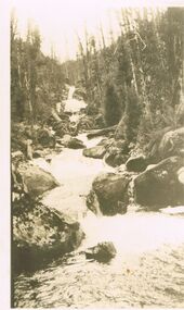 Photograph - PHOTOGRAPH: BLACK AND WHITE PICTURE OF STREAM