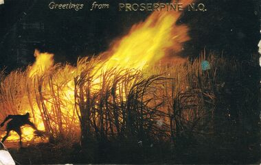 Postcard - GREETINGS FROM PROSERPINE N.Q. POSTCARD