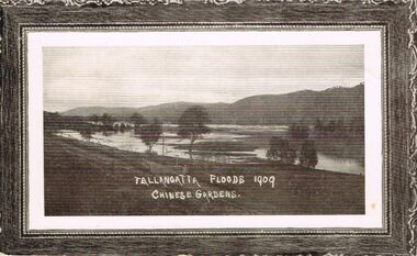 Photograph - POSTCARD  BLACK AND WHITE PHOTO TALLANGATTA FLOODS 1909 CHINESE GARDENS