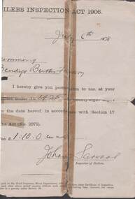 Document - BOILER INSPECTION CERTIFICATE: BENDIGO BUTTER FACTORY, 16th July 1908