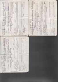 Document - GOLDEN PYKE QUARTZ MINING COMPANY NO LIABILITY - SHARE CERTIFICATES
