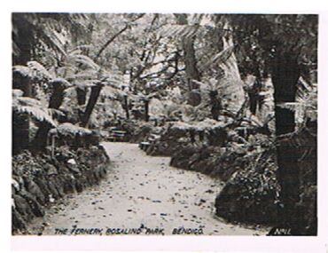 Photograph - FERNERY, ROSALIND PARK, BENDIGO