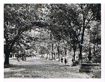 Photograph - ROSALIND PARK, BENDIGO