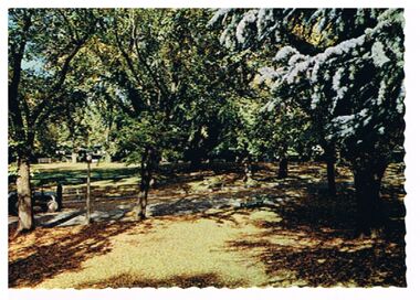 Postcard - ROSALIND PARK