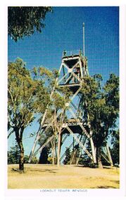 Postcard - LOOKOUT TOWER ROSALIND PARK BENDIGO