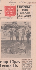 Newspaper - OLD VIOLET SHAFT - PHOTO OF CHILDREN AT THE OLD VIOLET - PITT STREETS SHAFT