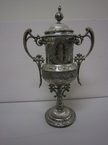 Award - SANDHURST FOOTBALL CLUB PREMIERSHIP CUP, 1893