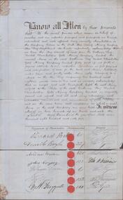 Document - THE SOUTH STAR QUARTZ MINING COY - ACCEPTANCE OF SHARES IN Catherine Reef United Claimholders Co, 1865