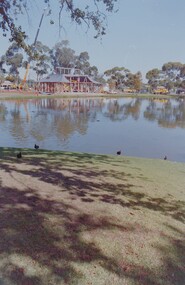 Negative - BENDIGO CHINESE TEA HOUSE