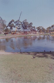 Negative - BENDIGO CHINESE TEA HOUSE