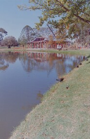 Negative - BENDIGO CHINESE TEA HOUSE