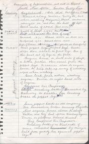 Document - SOUTH NEW MOON MINE - NOTES ON THE SOUTH NEW MOON MINE