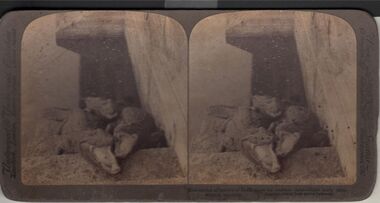 Photograph - HARRIS COLLECTION: STEREOSCOPIC VIEWS, Nineteenth Century