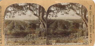 Photograph - HARRIS COLLECTION: STEREOSCOPIC VIEWS, Nineteenth Century
