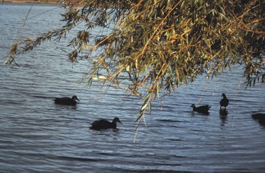 Slide - BENDIGO & EASTER FAIR, 1990