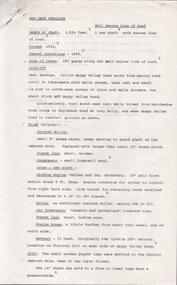 Document - NEW CHUM SYNCLINE MINE - NOTES ON THE NEW CHUM SYNCLINE MINE