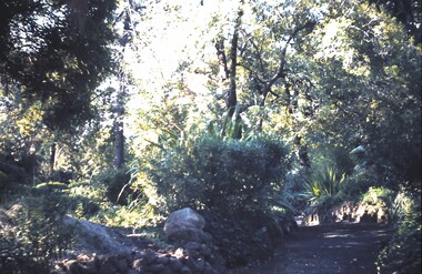 Slide - BENDIGO & EASTER FAIR, 1972