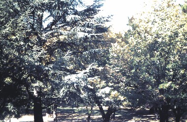 Slide - BENDIGO & EASTER FAIR, 1972