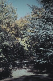 Slide - BENDIGO & EASTER FAIR, 1972
