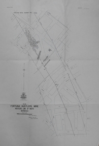 Map - FORTUNA HUSTLER'S MINE - PLAN OF FORTUNA HUSTLER'S MINE