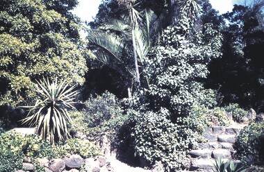 Slide - BENDIGO& EASTER FAIR, c1963