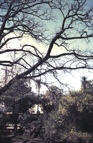 Slide - BENDIGO & EASTER FAIR, c1963