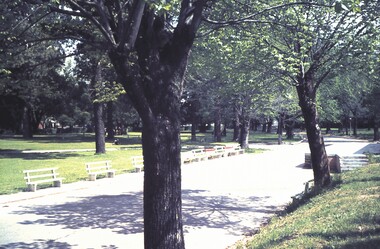 Slide - BENDIGO & EASTER FAIR, 1963