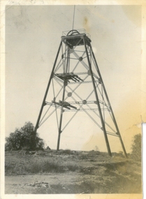 Photograph - GREAT EXTENDED HUSTLERS MINE - PHOTOGRAPH OF STANFIELD LEGS