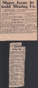 Newspaper - CENTRAL DEBORAH GOLD MINE - NEWSPAPER CUTTINGS