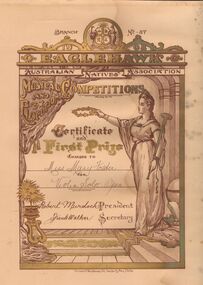 Document - FOSTER AND WILSON COLLECTION: VIOLIN CERTIFICATE