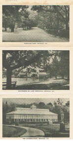 Photograph - FOSTER AND WILSON COLLECTION: PICTURE FOLDER OF BENDIGO