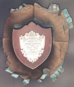 Plaque - AUSTRAL DEBATING SOCIETY SHIELD - A.C. BOTTOMS 1897, 1897