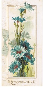Document - MALONE COLLECTION: GREETING CARDS
