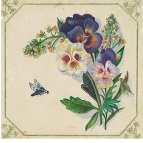 Document - MALONE COLLECTION: GREETING CARDS, 1884
