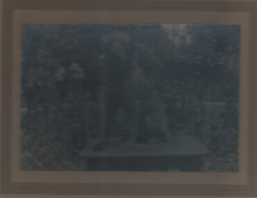 Photograph - PHOTOGRAPH:   PORTRAIT OF DOG