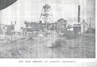 Document - HARRY BIGGS COLLECTION: NEW MOON MINE, 1906