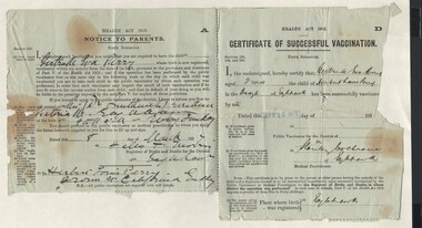 Document - GERTRUDE PERRY COLLECTION: CERTIFICATE OF VACCINATION, 1917