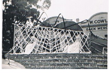 Photograph - HANRO COLLECTION: SPIDER FLOAT