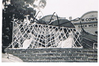 Photograph - HANRO COLLECTION: SPIDER FLOAT