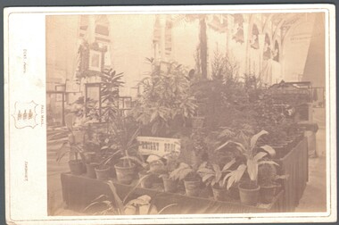 Photograph - WES HARRY COLLECTION: FLORAL EXHIBITION, 1880's