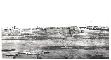 Photograph - WES HARRY COLLECTION: BENDIGO SALEYARDS, 1860's
