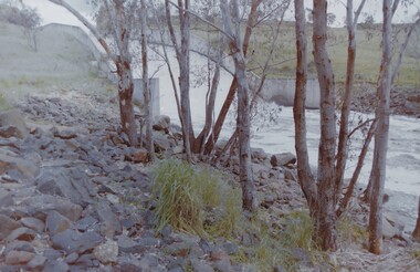 Slide - VAL DENSWORTH COLLECTION: LAKE EPPALOCK, 1986