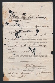Document - BARKLY REEF GOLD MINING COMPANY SHARE ACCOUNT, 1875