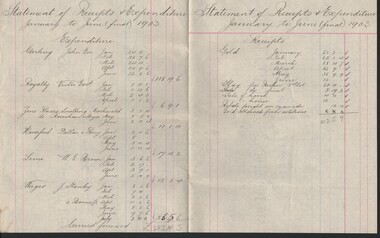 Document - GOLD MINE ACCOUNTS FOR 1903, 1903