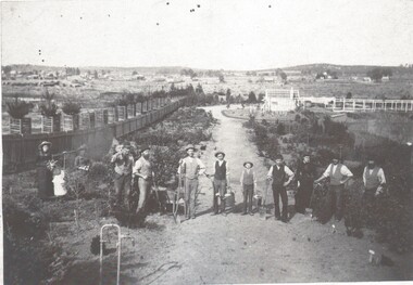 Photograph - WES HARRY COLLECTION: BOTANICAL GARDENS, 1870's ??
