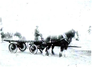 Negative - HARRY BIGGS COLLECTION: ASSORTED NEGATIVES