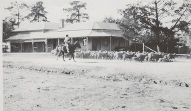 Photograph - HARRY BIGGS COLLECTION: ROYAL HOTEL, MILLERS FLAT